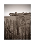 'Directions' Holkham Bay