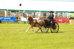SBM_02676