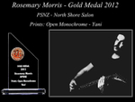Rosemary Morris - Gold Medal North Shore Salon 2012