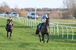 250225-Race 4-Master Breffni-8177
