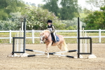 SBM_006352