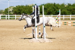SBM_007295