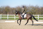 SBM_003403