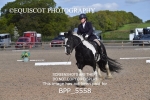 BPP_5558
