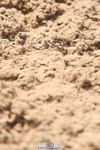 230915A-130940-00446