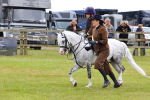 SBM_08261