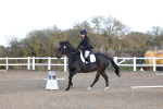 SBM_003323