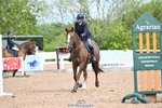 Cls 6A+B Snr British Novice and 90cm portfolio