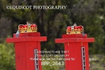 BPP_2643