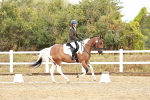 SBM_001353