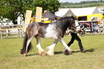 SBM_08802