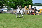 SBM_08039
