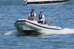 190825 GECKO - VALIANT RIB 1Y3A1361