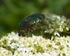 20110614-IMG_5782