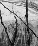 Bogland Matter 18, 16cm x 20cm
