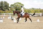SBM_009862