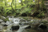 Dartmoor _ DR 003
