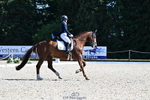 C-231-Alannah.Dunstan-JUMPING.STAR.J.W.B portfolio