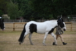 WJ6_7838