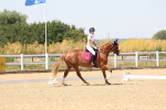 SBM_005023