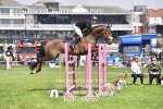 BPP_6997