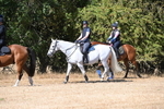 WJ6_8353