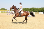 SBM_001125