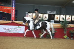 SBM_10564