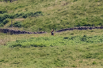 Wasdale-176