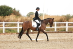 SBM_001413