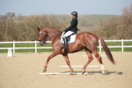 SBM_008554