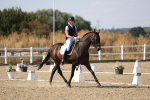 SBM_022661