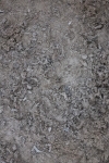 SBM_005628