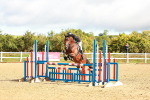 SBM_000328