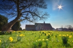 z2655 Springtime, Newchurch