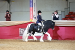 SBM_20319