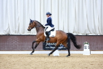 SBM_003913
