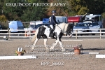 BPP_8603