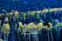 3HPhotography10-6-24_RMNP_0495_