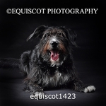 equiscot1423