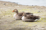 20140417-3K8A0184