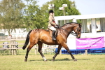 SBM_18086