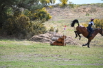 WJ6_0095