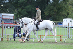 Class 15a/b Pony club pony/Riding club horse portfolio