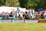 SBM_17075