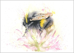 Bumble Bee Fine Art Print 345