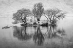 Crummock Water Islet