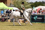 SBM_14793