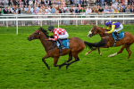 270724-Race 6-Ziggy-7541