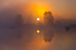 Magical Morning at Lake Boora, County Offaly, Ireland.